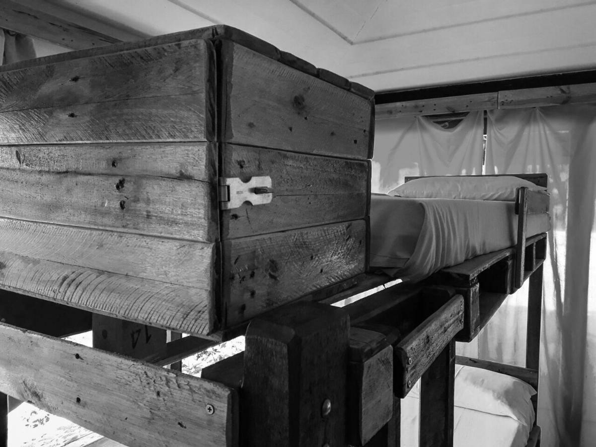 Cama Individual en habitación compartida femenina
